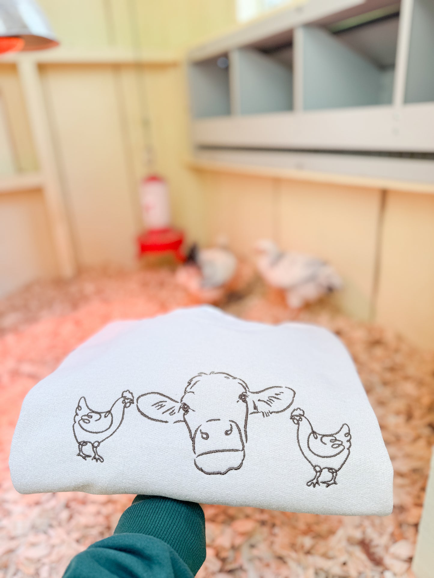 “Got Eggs?” Crewneck